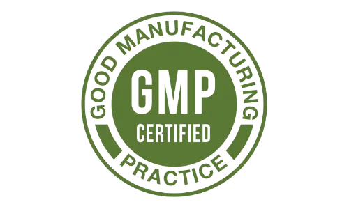 Memo Max Pro GMP